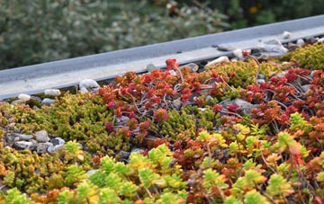 the cost of Husbands Bosworth green roof installation