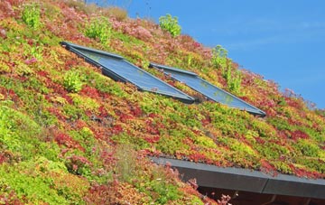 Husbands Bosworth living roof systems
